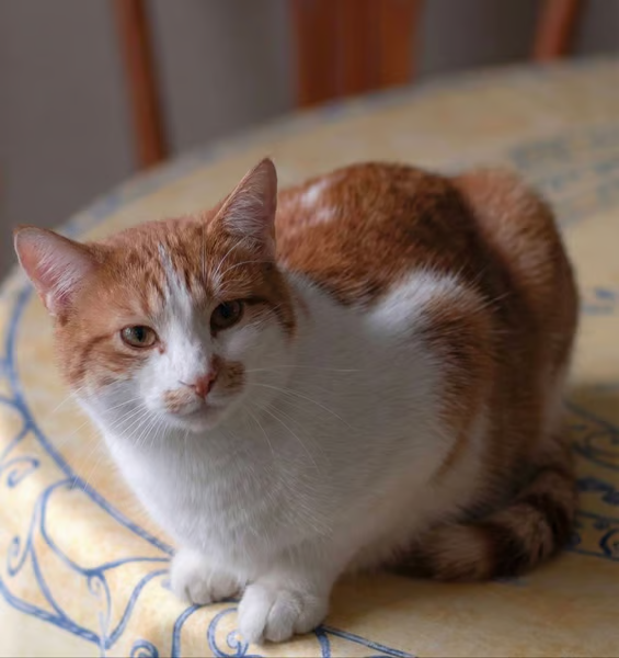 Pomp🌪 tweet media