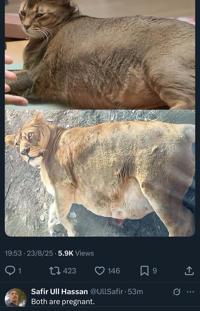 B_B2Best's tweet image. อะไรนะคับ?