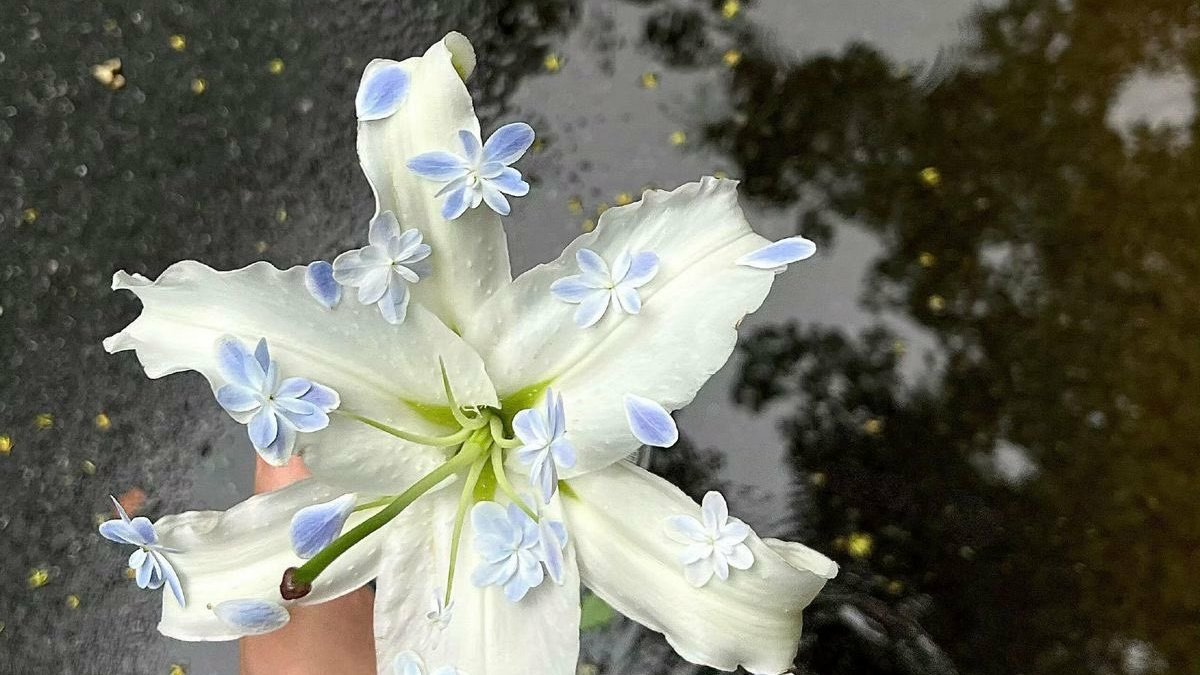 wonheevc's tweet image. Like ya kalo liat #zonauang