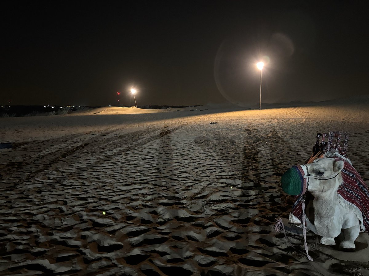 junslothcafe's tweet photo. 開運フルセット🔮
砂漠と月と太陽とラクダ
🏜️🌙☀️🐪 
#株クラ #米国株 #ドバイ
#健康 #ナマクラ #Dubai
#Everyonehappy💖 https://t.co/wuAVZp4ryc