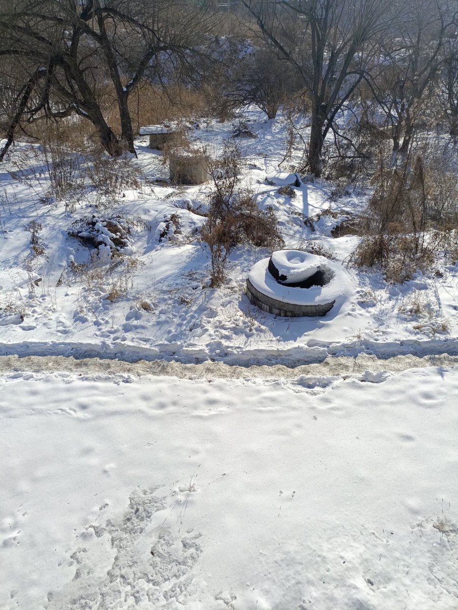 quick_spinch's tweet image. Холодно, блять...