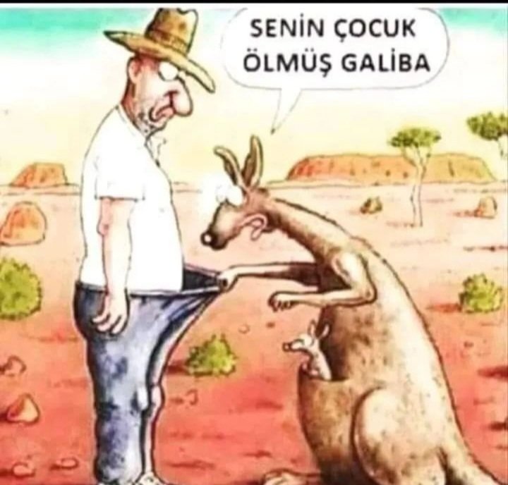 Ekrem Şahin (@sekrem887) on Twitter photo 