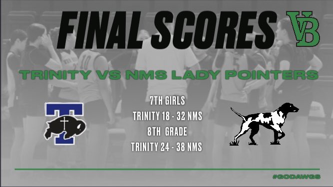 NMSLadyPointerHoops tweet media