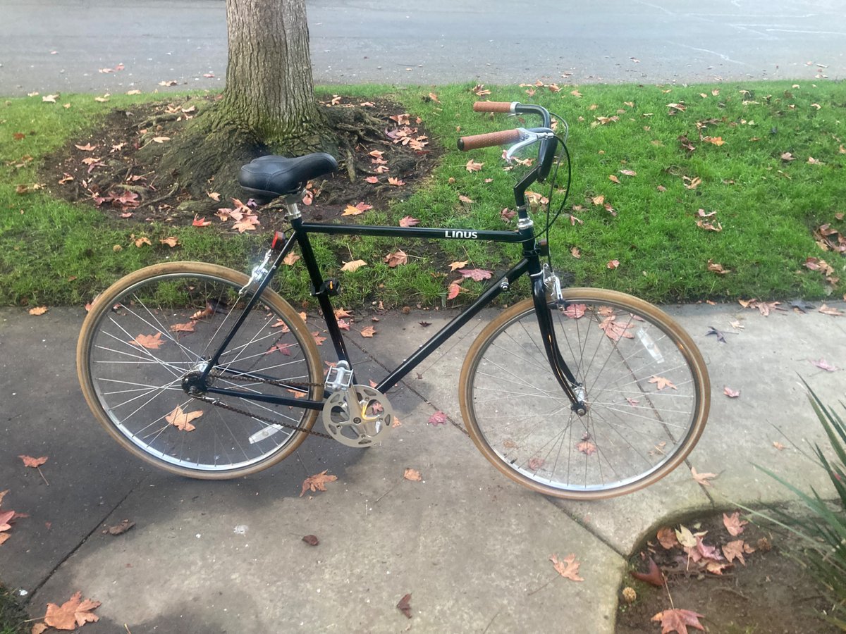 #Linus road bike modified to a cruiser. Screams class and style!