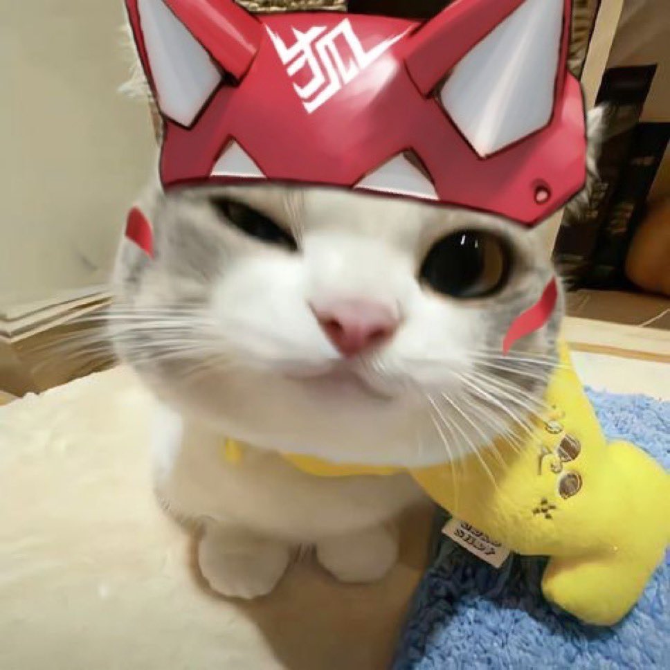 Kiriko (@onlykiriko) on Twitter photo 