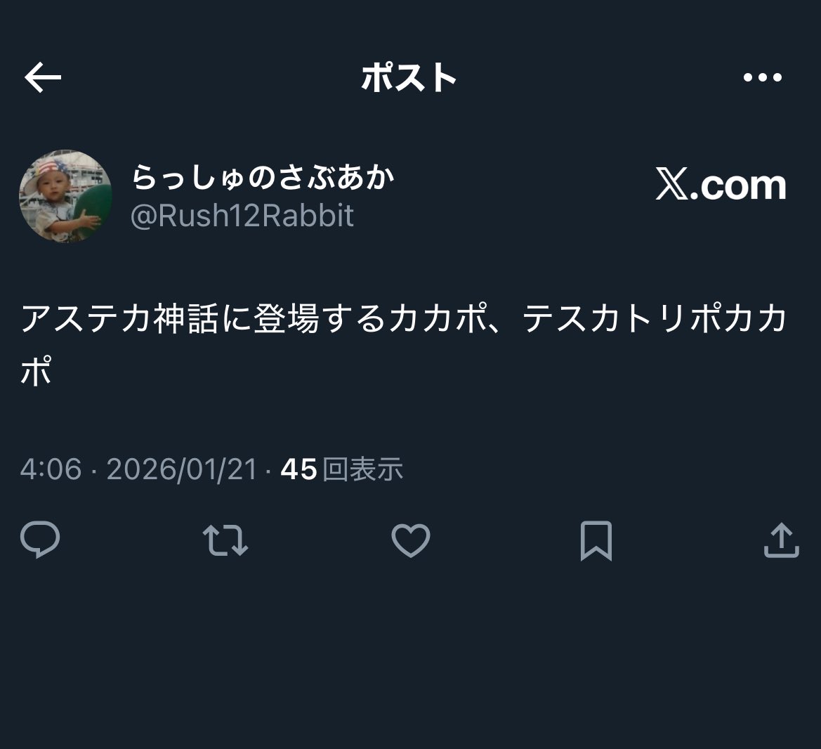 Rush11@にじそうさく11 西1 あ-67 (@Rush11FULLBLITZ) / Posts / X