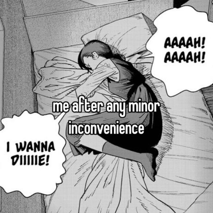 nova (@comfypill) on Twitter photo 