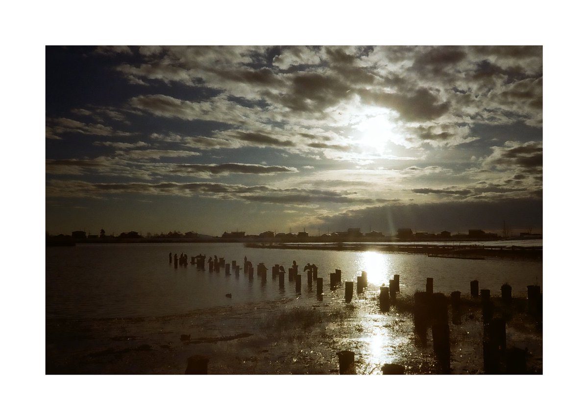 FORPRO_F's tweet image. Nikon L35 AD3
Nikon LENS 35mm f2.8
Kodak GOLD 200