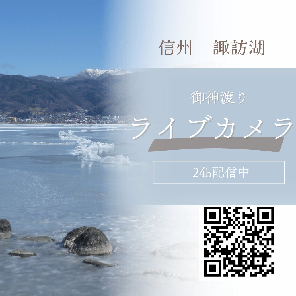 長野県 tweet media