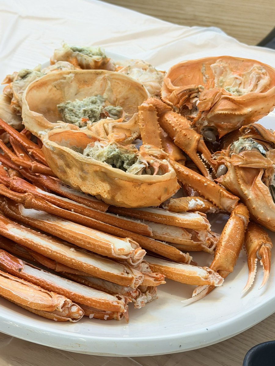 규쨩이 tweet media