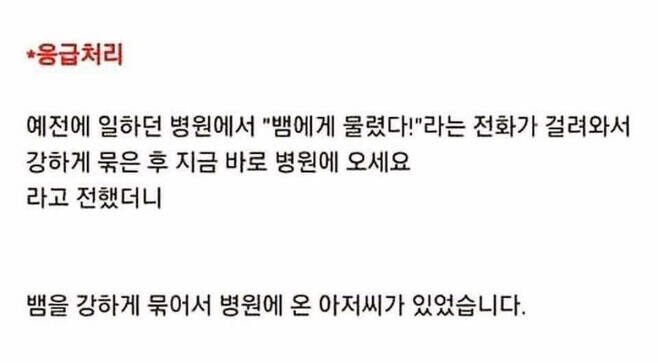 토끼드부아 (@erurirure) on Twitter photo 