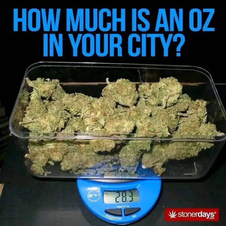 420Matt tweet media