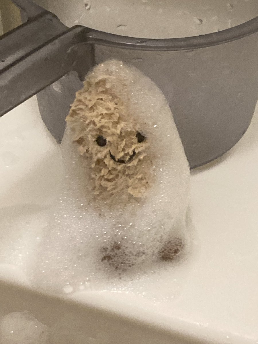 最近の楽しみはぬいぐるみをお風呂に入れること
これはちいさきピーナッツ🥜
鹿華オープンしてます‼️