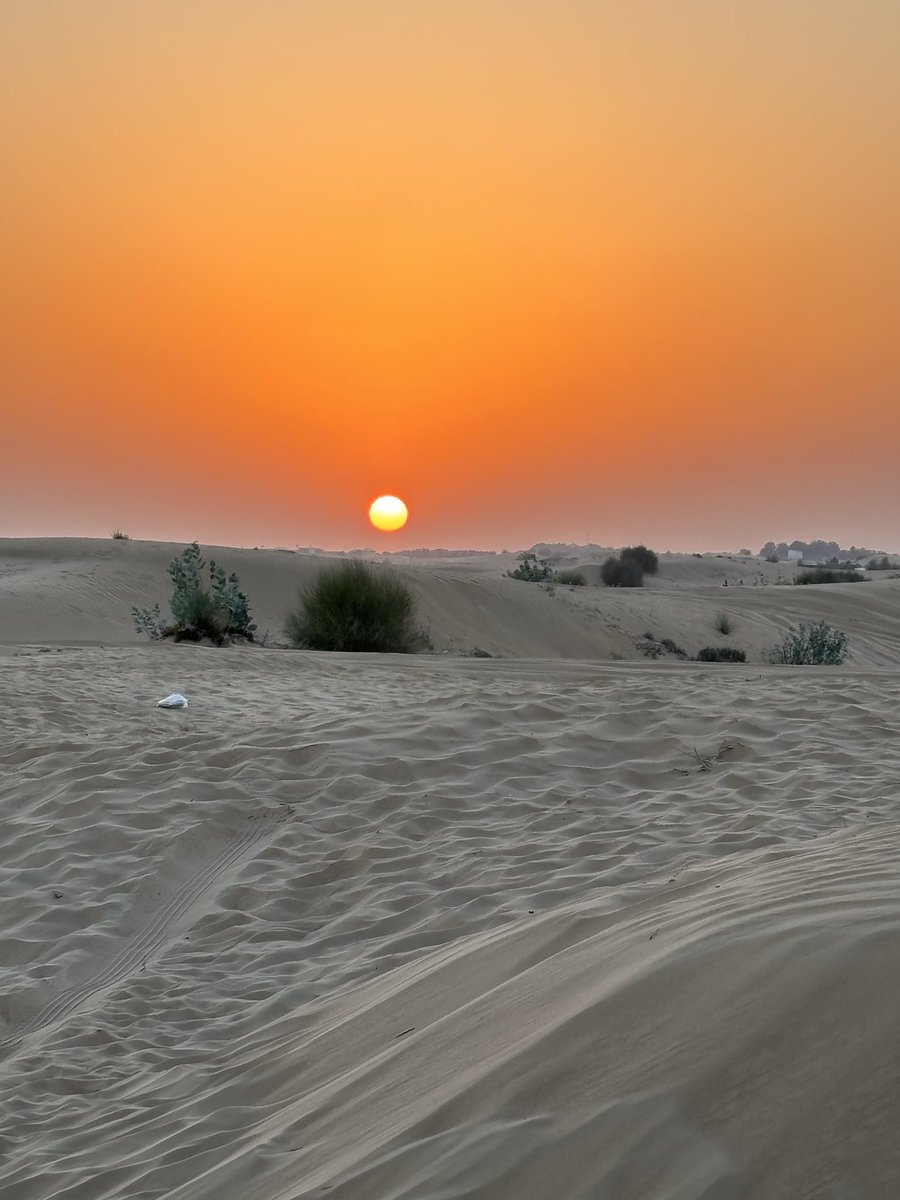 junslothcafe's tweet photo. 開運フルセット🔮
砂漠と月と太陽とラクダ
🏜️🌙☀️🐪 
#株クラ #米国株 #ドバイ
#健康 #ナマクラ #Dubai
#Everyonehappy💖 https://t.co/5LGfgNIGEs