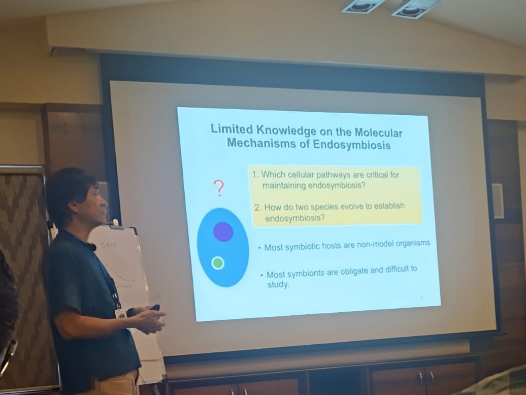 WormlockHolmes's tweet photo. Endosymbiome can be major drivers of evolution. Uses green symbiotic and white aposymbiotic paramecia to study mechanisms of endosymbiosis. Lipid droplets reorganize in symbiotic cells. Compromising lipid metabolism reduces endosymbiont number. Jun-Yi Leu @AcadSinica #NEMOIV https://t.co/IeknuUoDYx