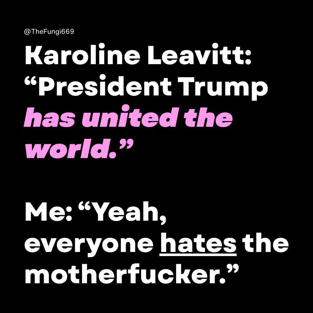 LePapillonBlu2's tweet image. 