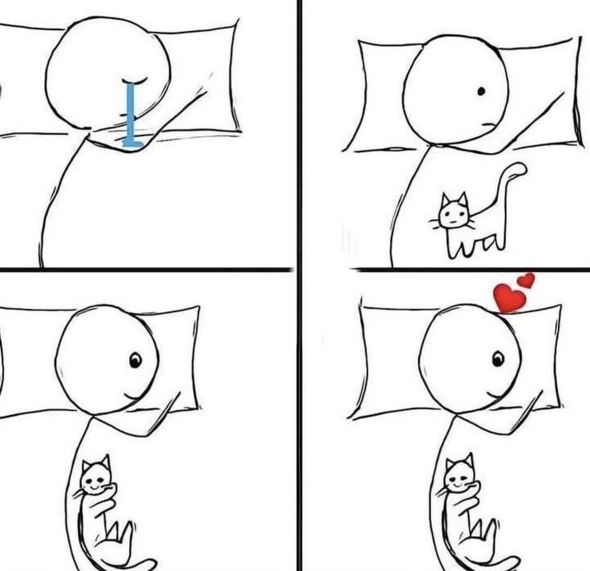 catshouldnt's tweet image. 