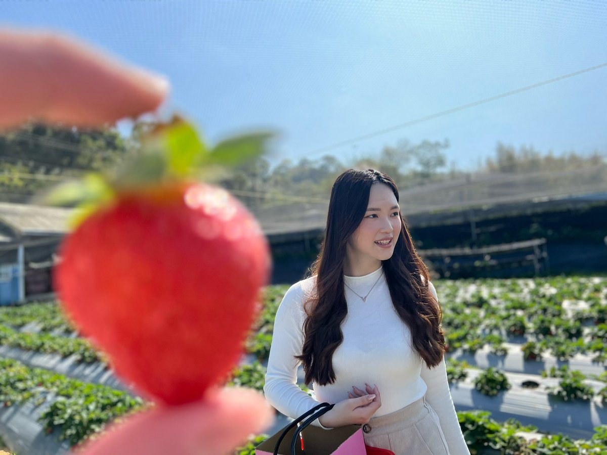 mina0597's tweet photo. 草莓日🍓 https://t.co/qghQVVyU17