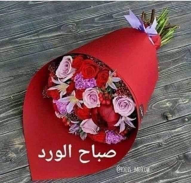 BadltKhald's tweet photo. @NoNa_09x https://t.co/swDRri9TUm