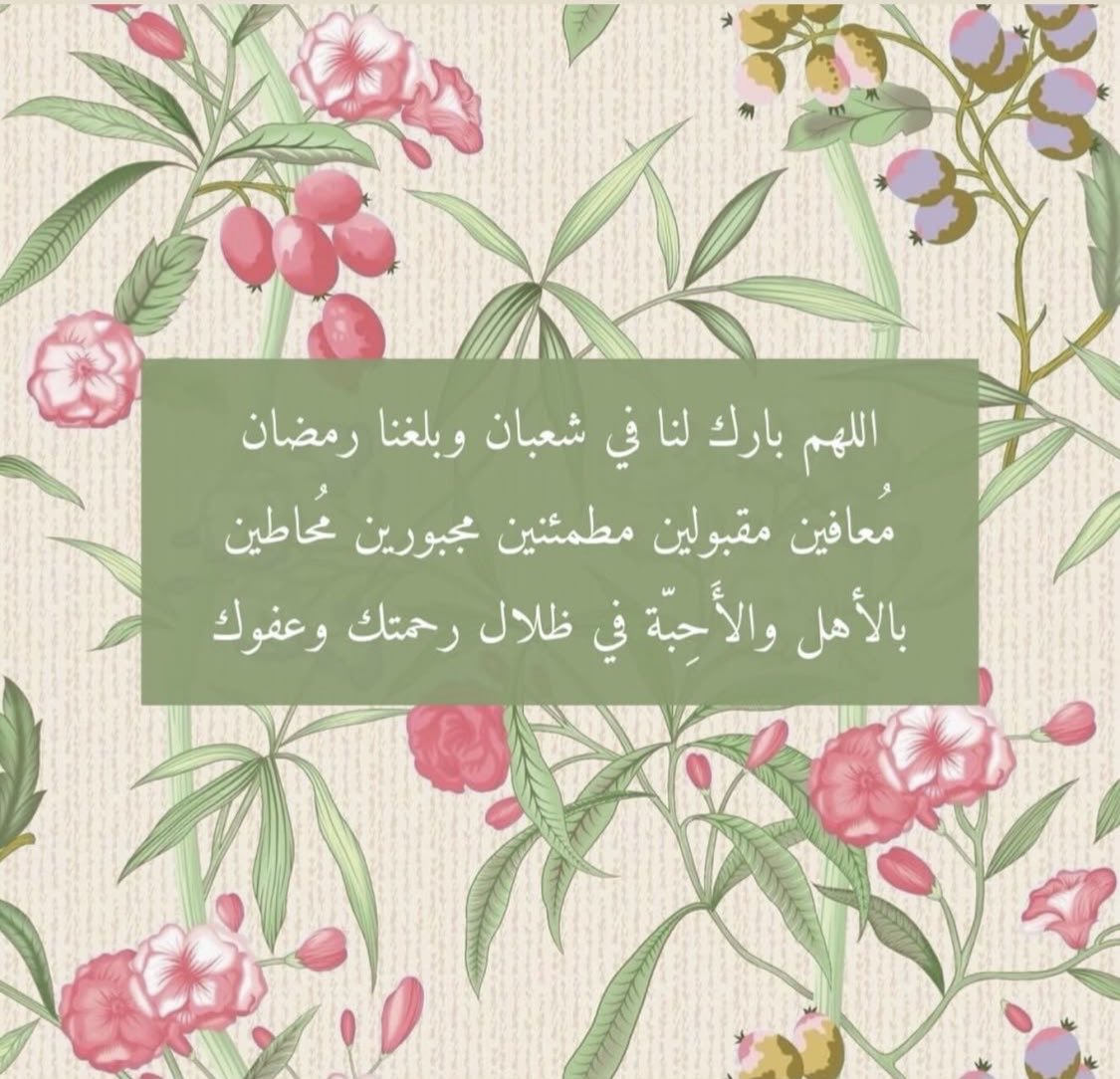 _Mesho85 tweet picture