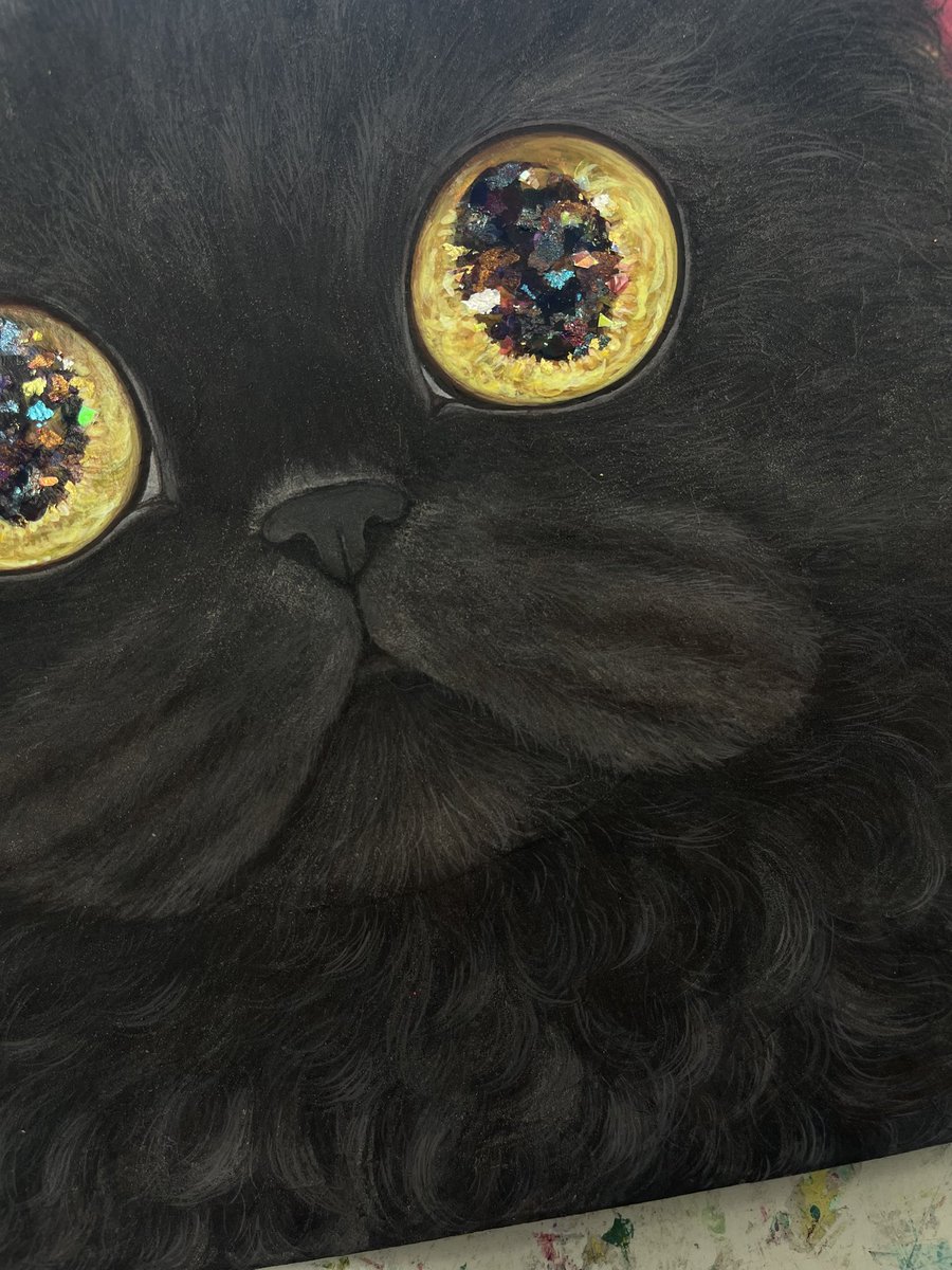 福嶋吾然有 (@AsariCats) / Posts / X