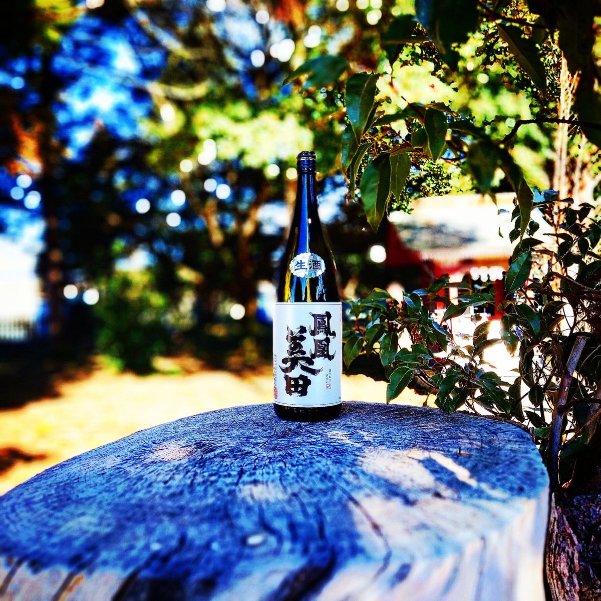 酒舗よこぜき (@syuho_yokozeki) / Posts / X