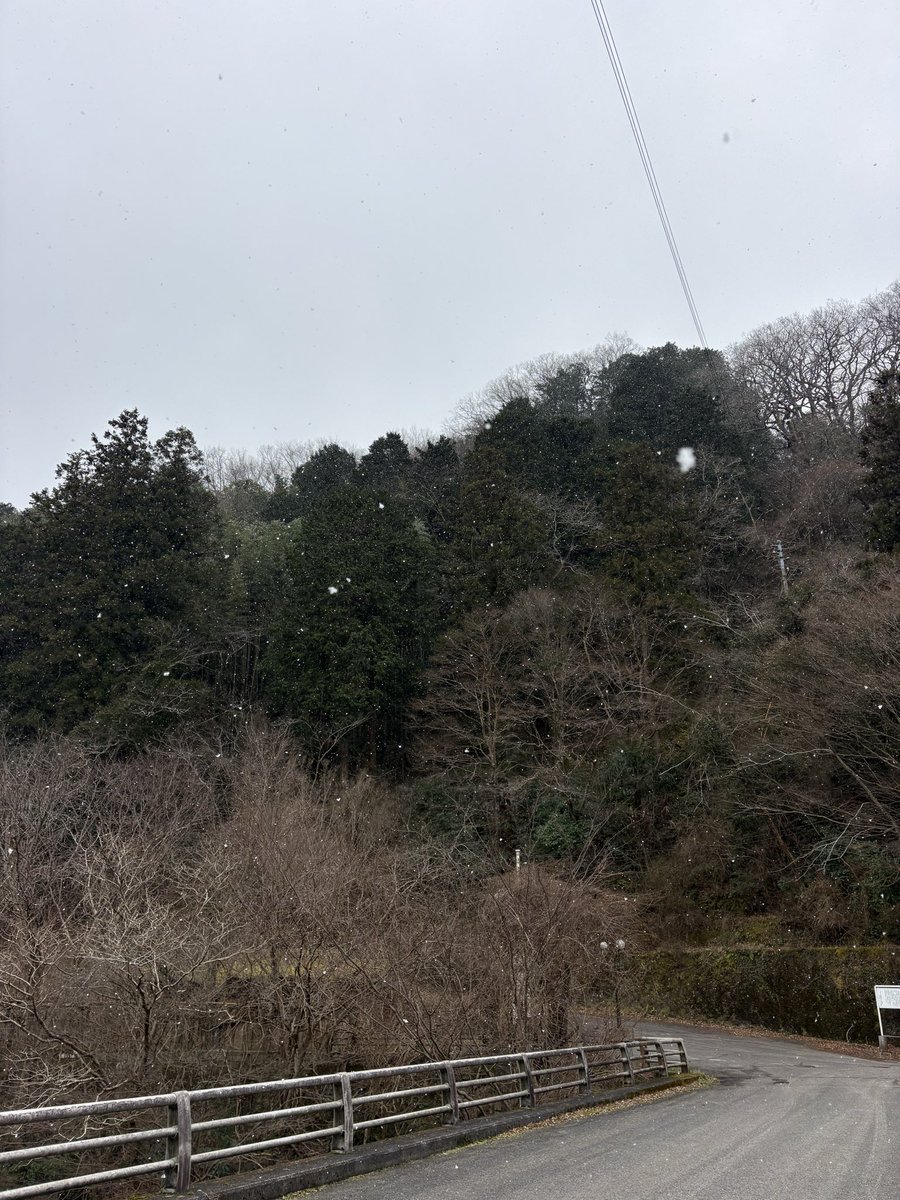 レビン tweet media