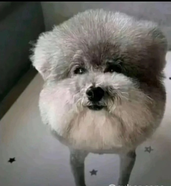 OnlyPharrell's tweet image. Rdc when they arguing agaisnt each other vs rdc when arguing against mark