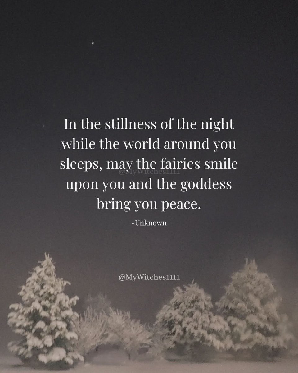 Red_Rose_232's tweet image. Goodnight my lovely weirdos. My cat is snuggling me, and it's making me sleepy. Have a great night 🥰❤️🌹