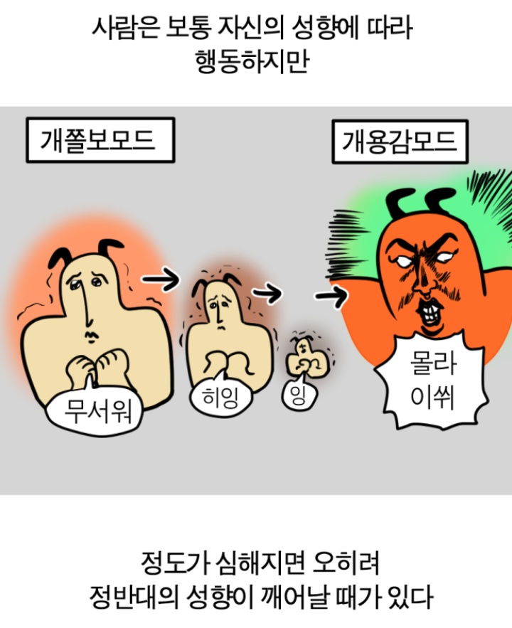 아니 그러니까 투우사 스토리가 이거라고요?
