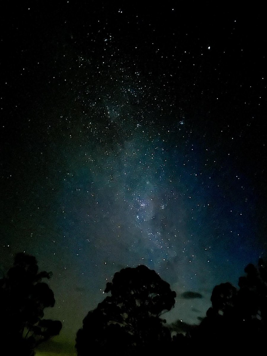 Jules🖤💛❤ tweet media