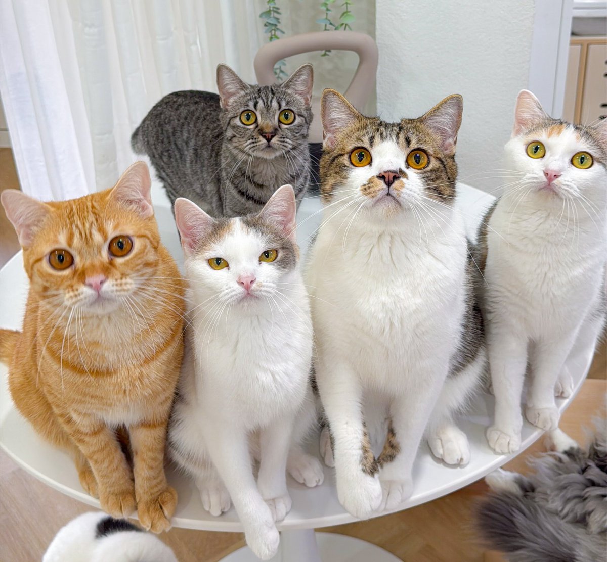 _DNVP2_'s tweet image. ทุกคนตากลมโตหมดเลย แต่มันจะมีอยู่ตัวนึงที่....