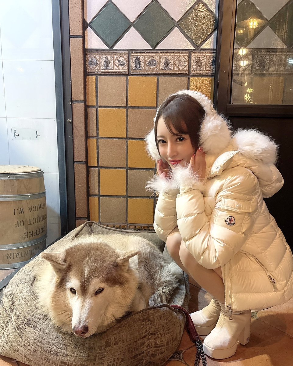 mmpinkmmm's tweet image. 韓国のmovember cafe🐶🤎

可愛いサムが看板犬で
今回も会いに行けた🥰

バーでもカフェ利用も出来るお店で
隠れ家ぽくて雰囲気も🙆‍♀️

また推し犬に会いに行くね✨

#movember
#韓国カフェ
#江南カフェ
#dogcafe
 #犬好きな人と繋がりたい