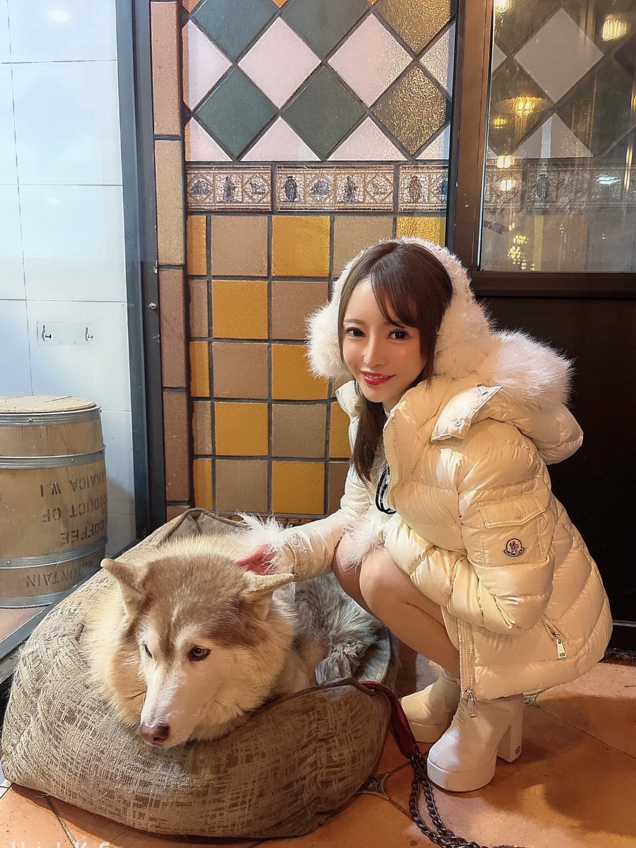 mmpinkmmm's tweet image. 韓国のmovember cafe🐶🤎

可愛いサムが看板犬で
今回も会いに行けた🥰

バーでもカフェ利用も出来るお店で
隠れ家ぽくて雰囲気も🙆‍♀️

また推し犬に会いに行くね✨

#movember
#韓国カフェ
#江南カフェ
#dogcafe
 #犬好きな人と繋がりたい