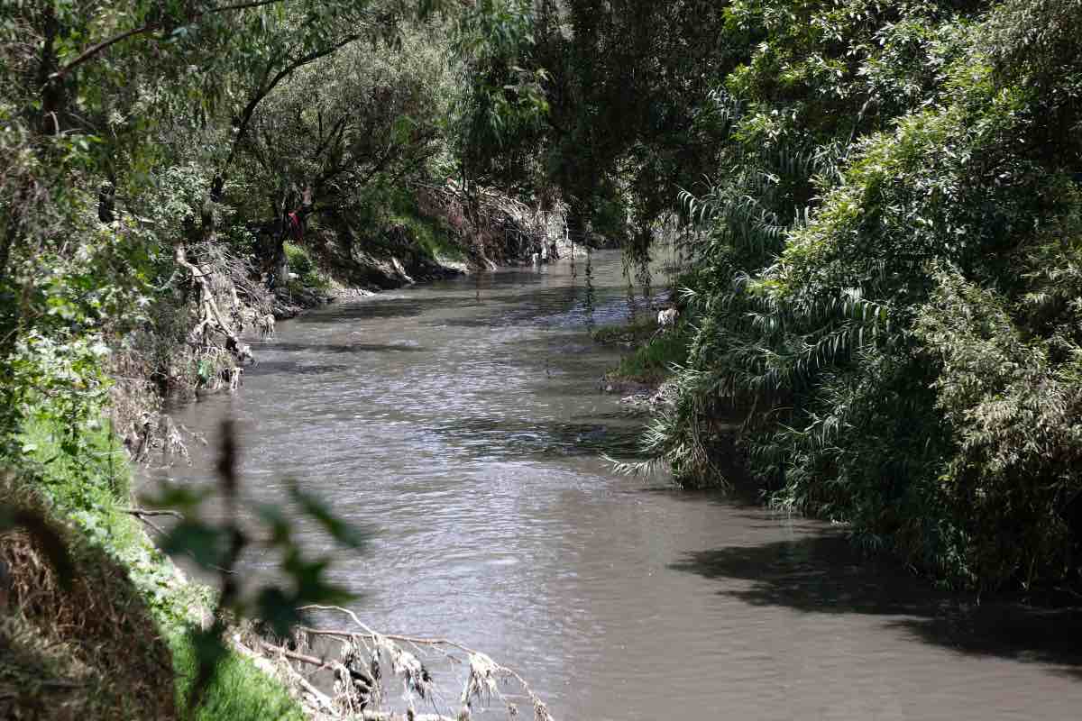 La Cronica Puebla tweet media