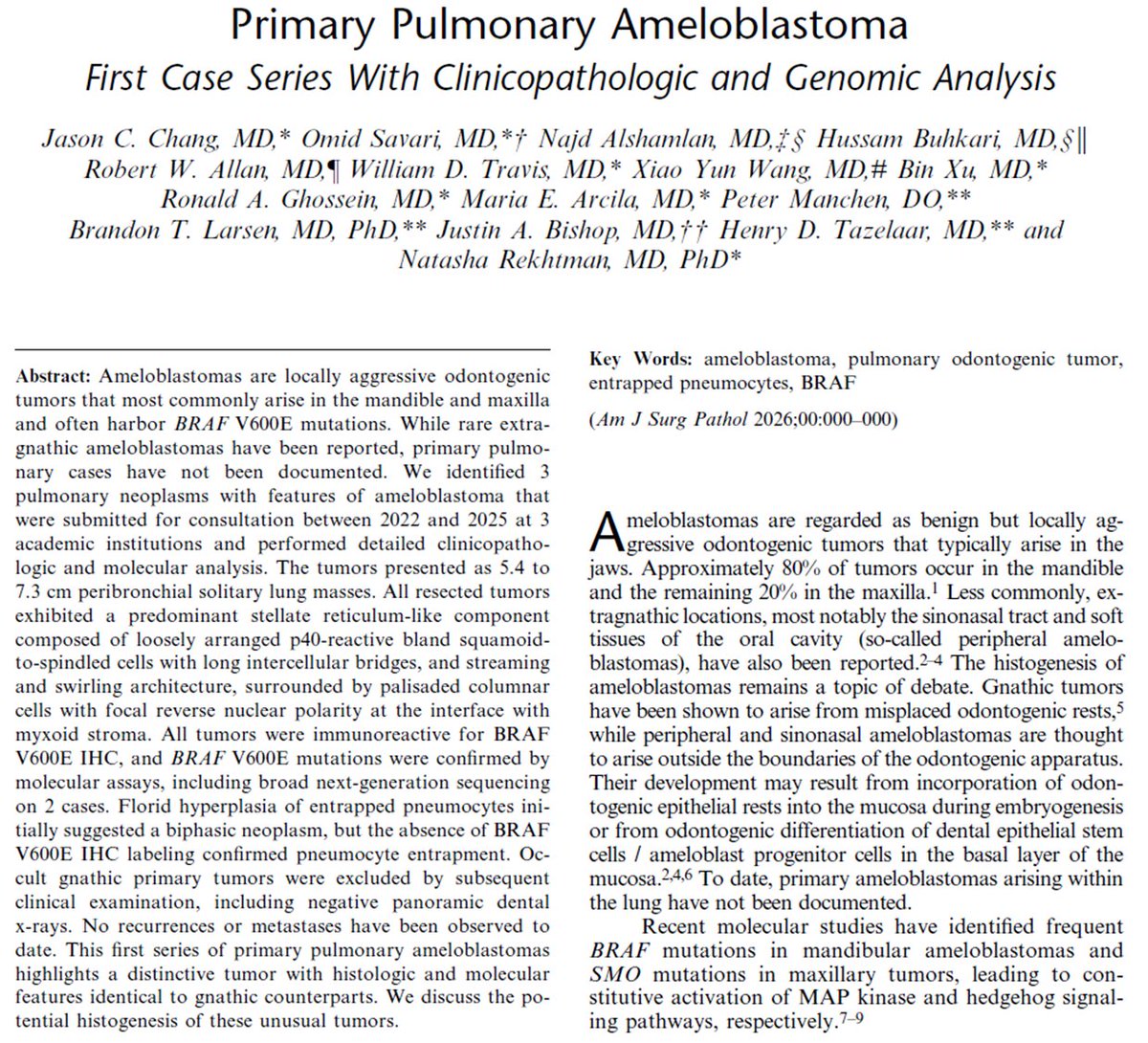 Natasha Rekhtman MD PhD tweet media