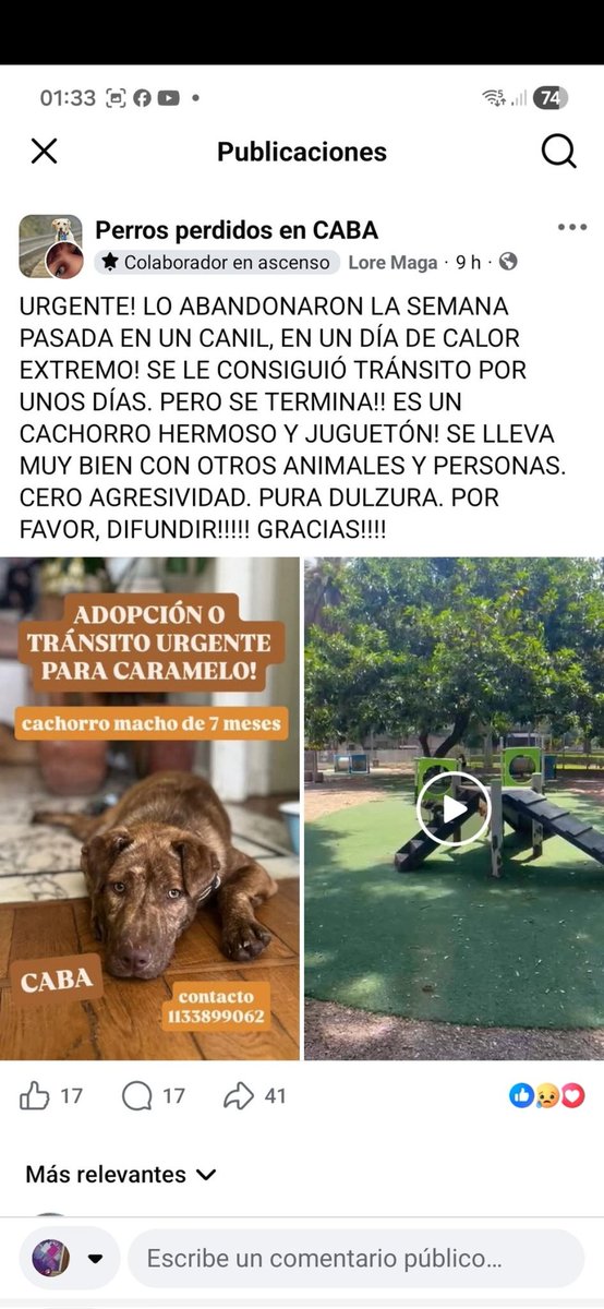 MariaIn77662119's tweet image. Contacto: 113389-9062