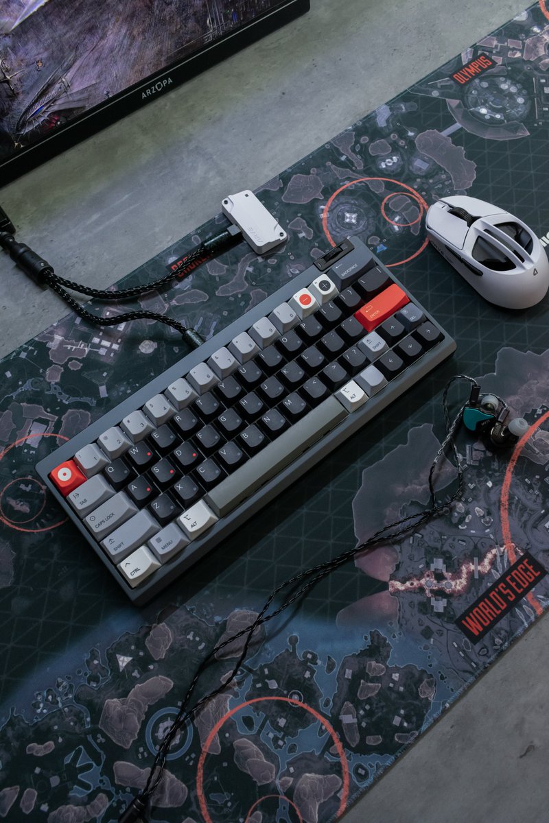 theillmeister tweet media