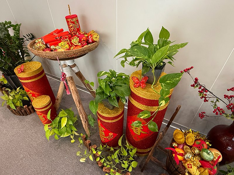 WINSTAR Display tweet media