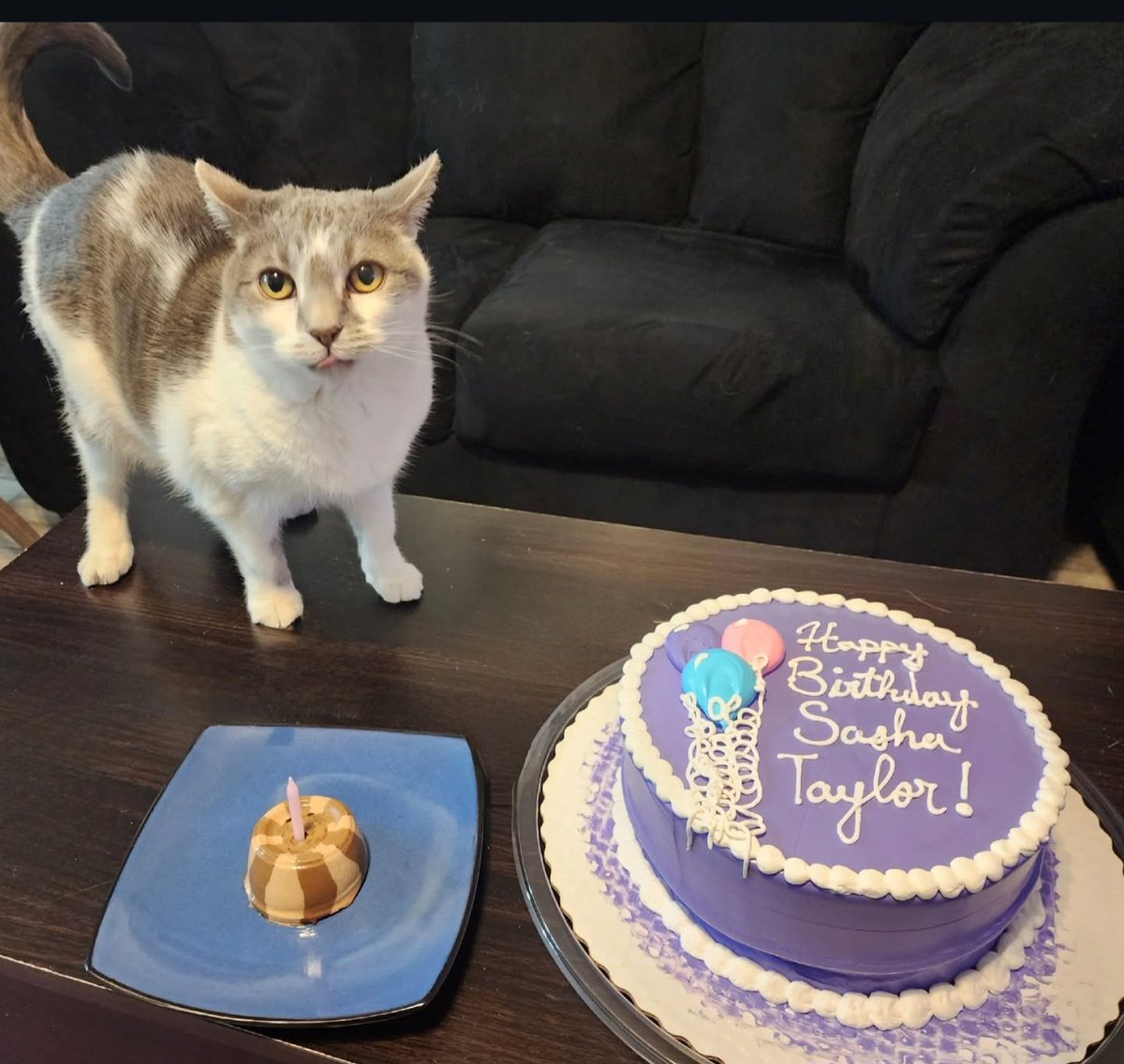 I don't want to alarm anybody but Sasha's birthday is in less than a month. 
February 19th. Mark your calendars and send her presents.
She has not told me what color cake she wants this year