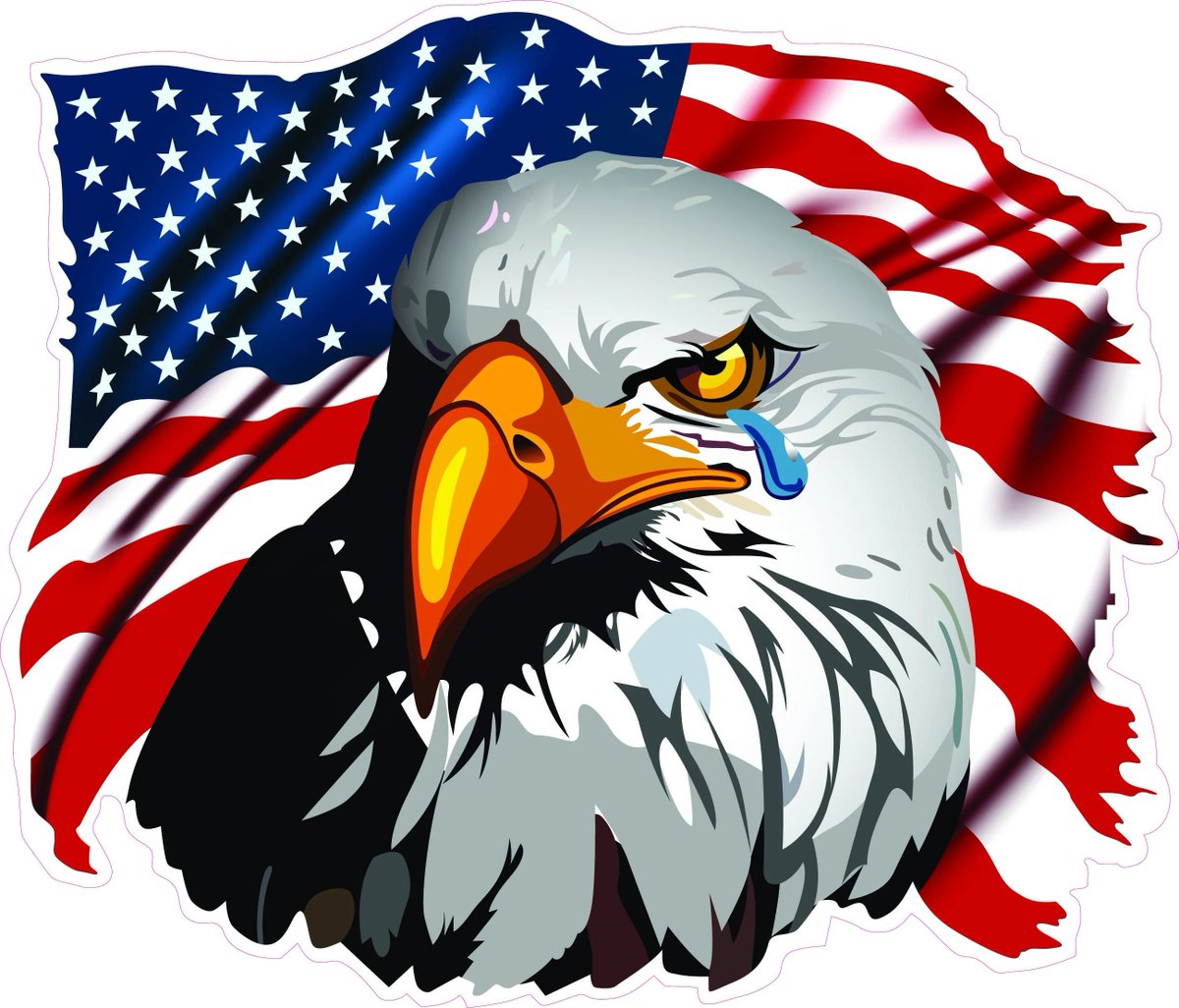 DouglasHud31448's tweet photo. @ACTBrigitte Should the thrice married, twice divorced, multiple affairs, bankrupt, "bone spurs", be added to a reality television themed insane asylum? 🤔 Regards, #101stAirborne #GulfWarVeteran #BigTenBetaGammaSigma #TSSBISCI #Itisacult https://t.co/nFs7ba5PVK