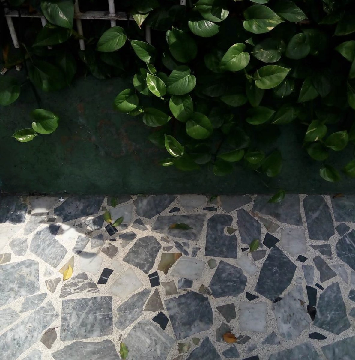 Archivo_ArtesVe's tweet image. En esta cuenta se venera el terrazzo caraqueño: