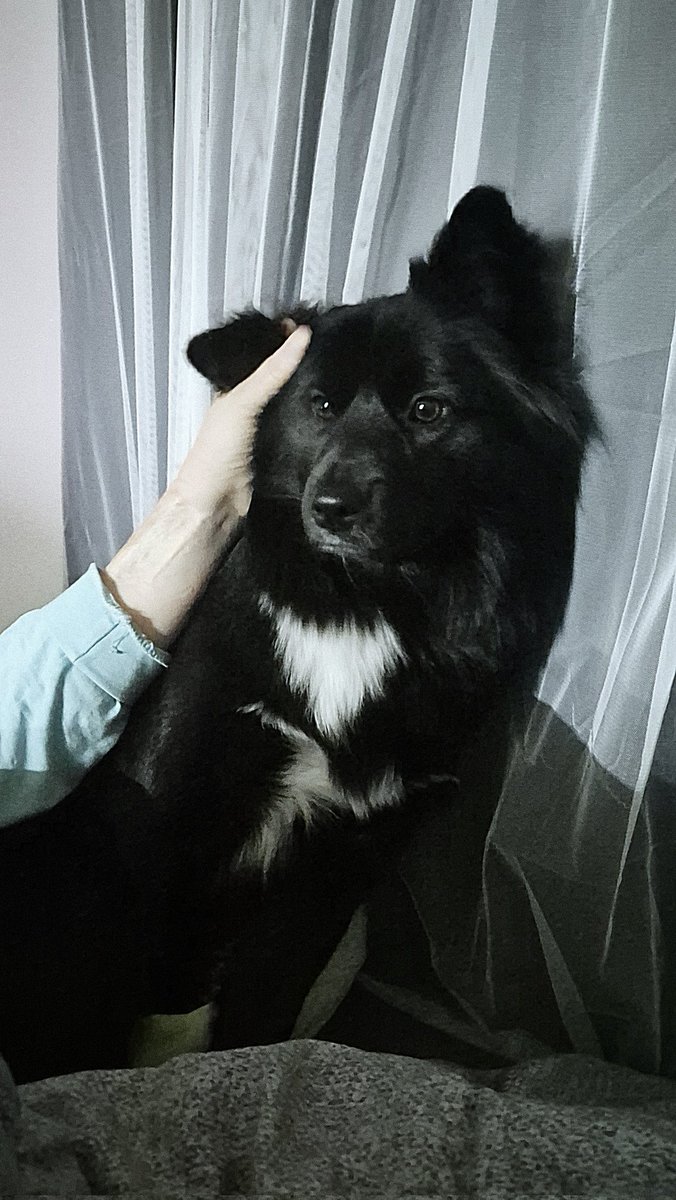 엄마가 그만 만져줬음 하는 포포