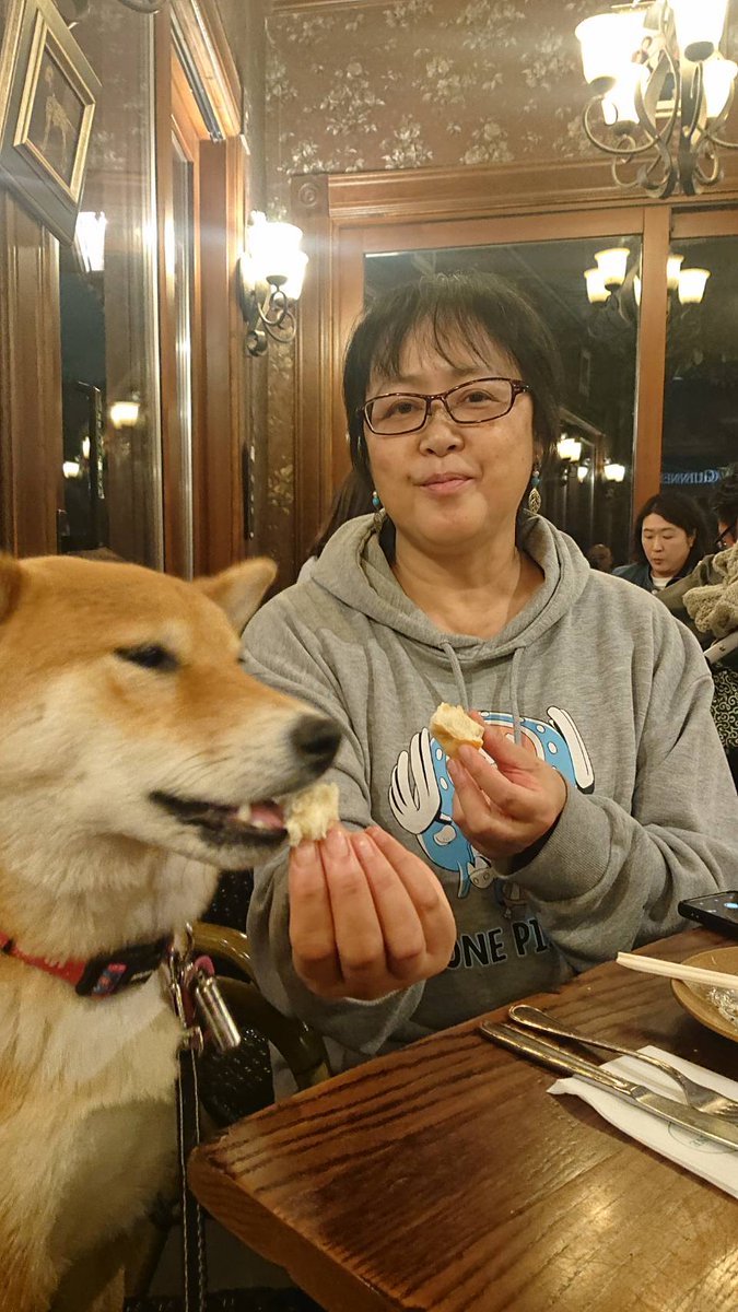 床の上のモモコお嬢様🍑
こんな自由もあと少し。また認知症との攻防戦が待っている。
#柴犬が好きすぎるで使っていいよ