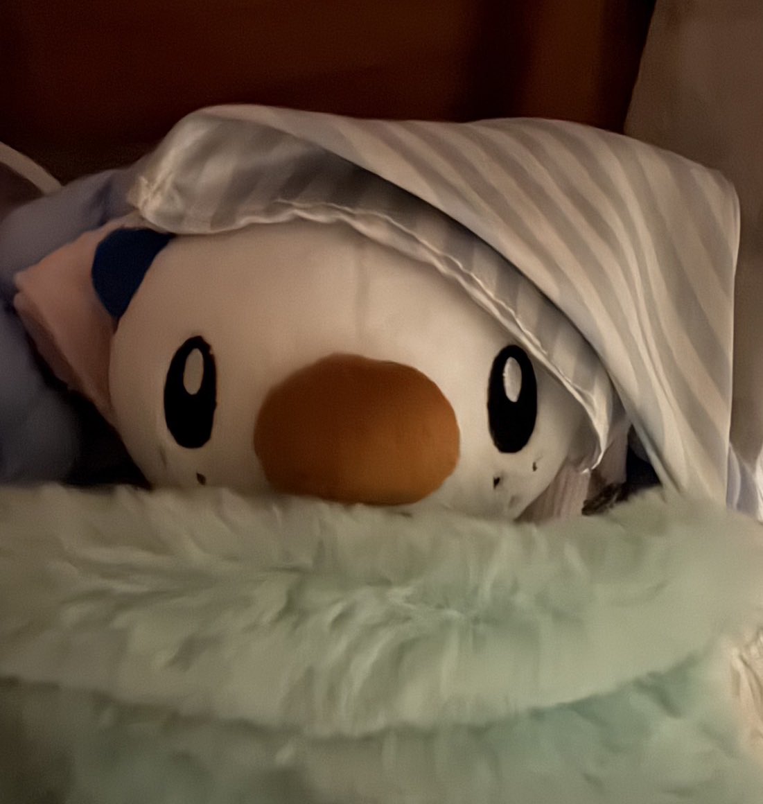 ミジュマルといっしょちゃんねる (@nuinui1103) on Twitter photo 