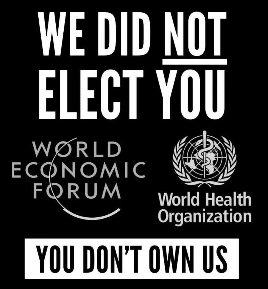 redpillb0t's tweet image. 