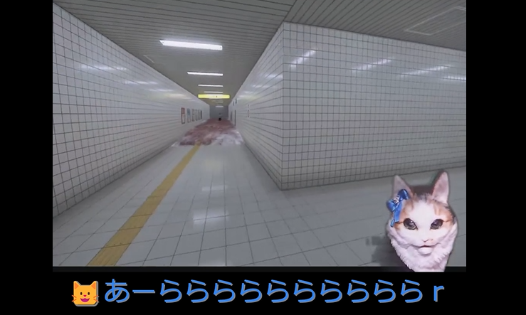 近藤フェリス🐱くまとねこ (@kuma_neko022) / Posts / X