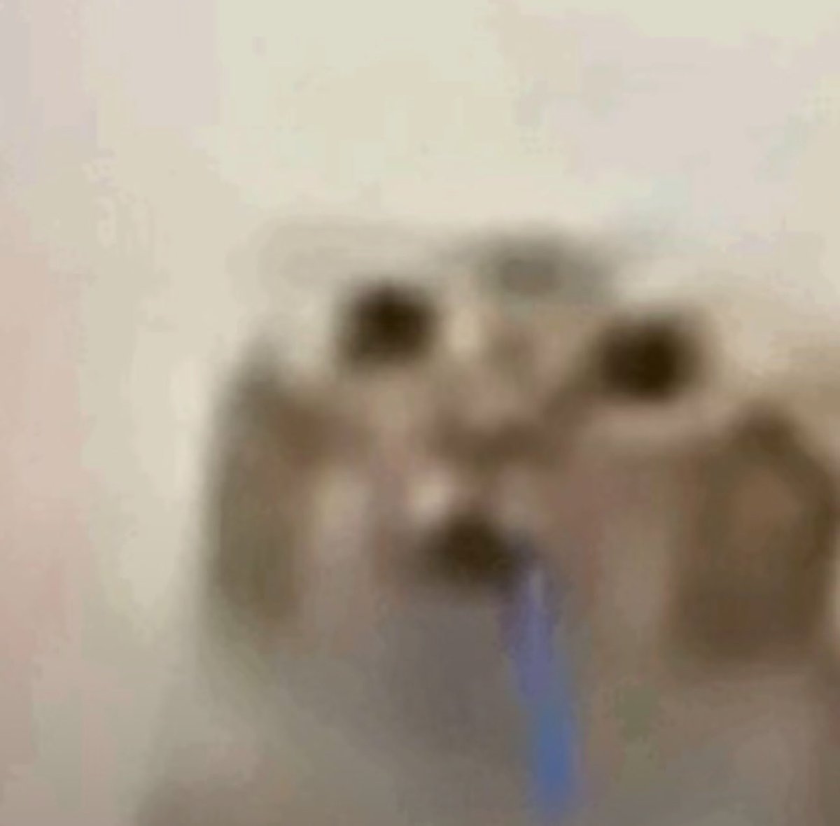 meowddie tweet media