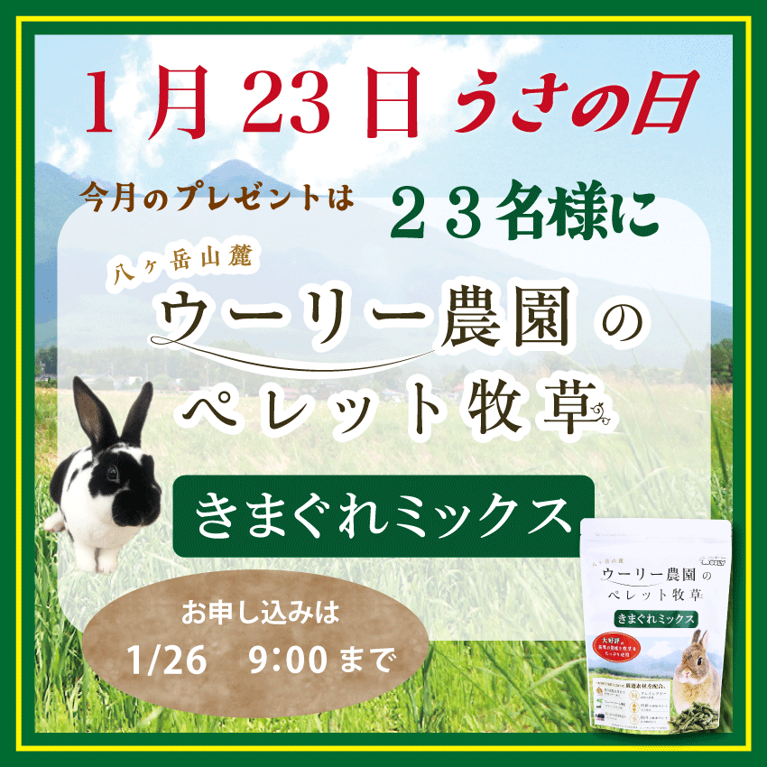 WOOLY（ウーリー） ㅣ うさぎの食彩工房 (@woolyrabbit) / Posts / X