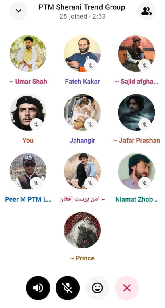 PTM Sherani tweet media